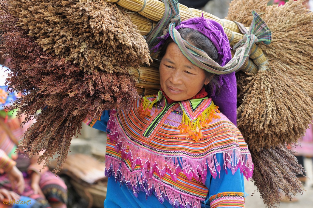 Donna con fasci di riso al mercato di Bac Ha