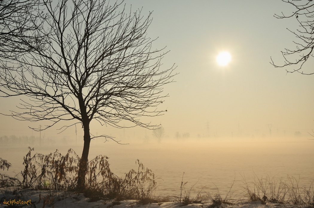 L'inverno nei parchi di Milano