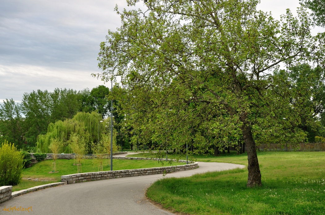 Parc Forlanini