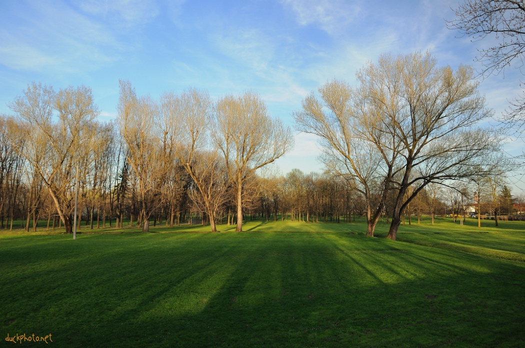 Parc Forlanini