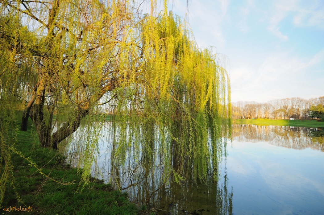 Parc Forlanini