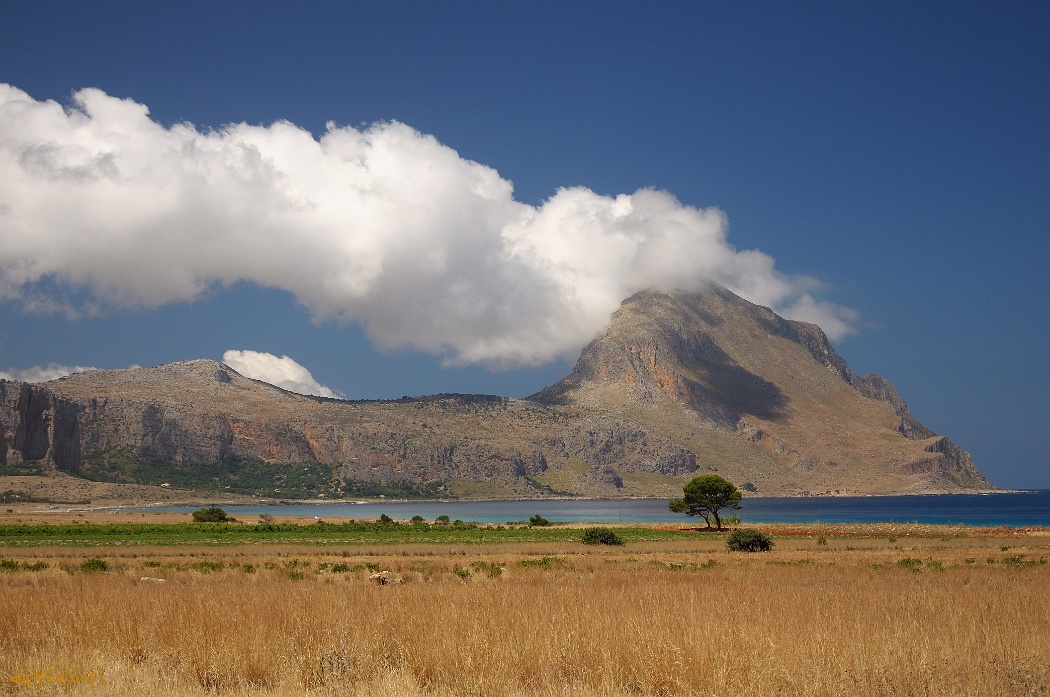 Natural reserve of Mount Cofano