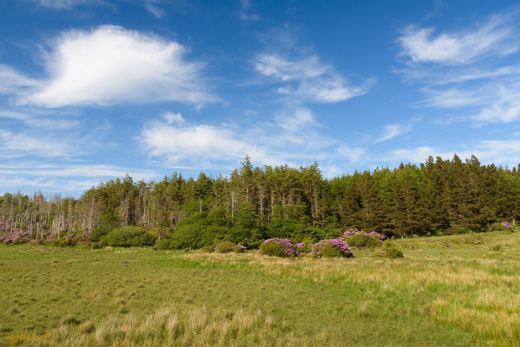 Connemara Park