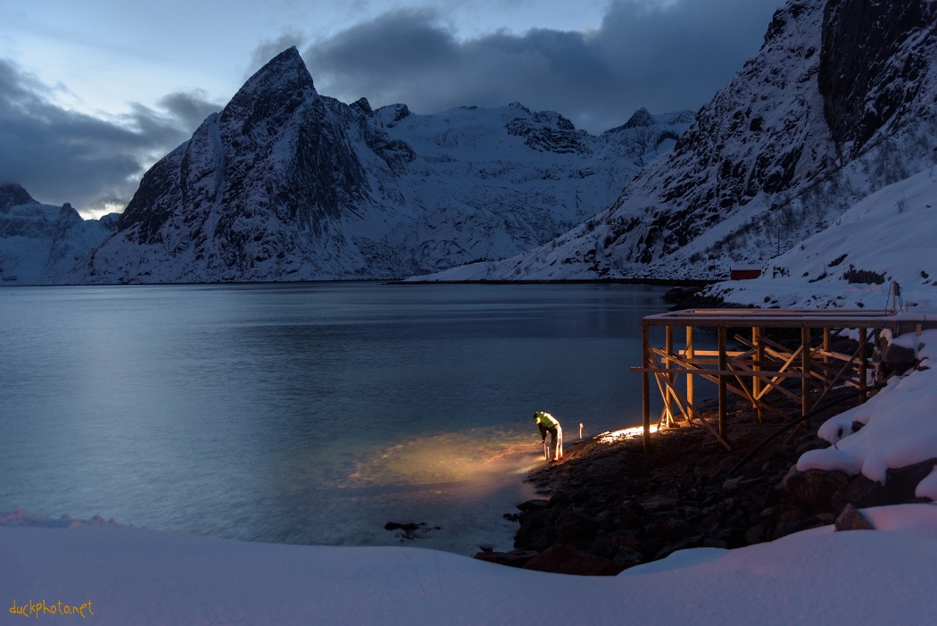 Life in the middle of ice