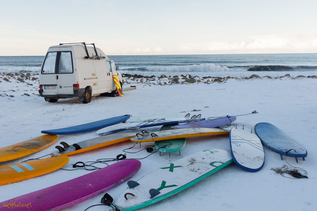 Iles Lofoten III - La vie dans la glace