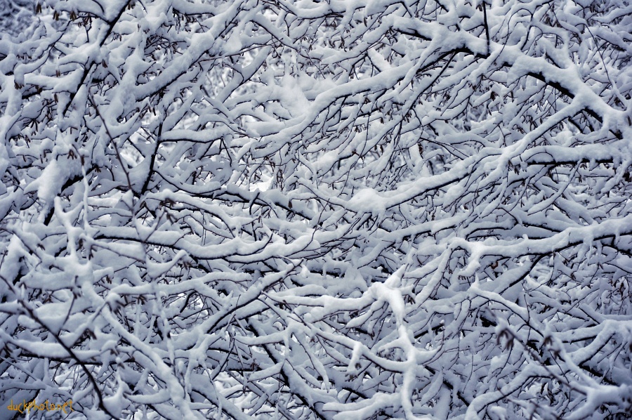 Milan under the snow